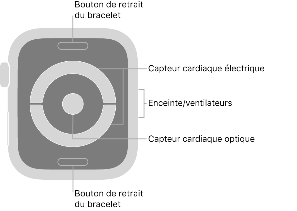 La face arrière de l’Apple Watch Series 4 avec des légendes pointant vers les boutons pour défaire le bracelet, les capteurs cardiaques électriques, le haut-parleur/les aérations et le capteur cardiaque optique.