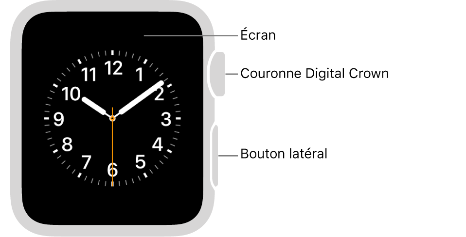 La face avant de l’Apple Watch Series 3 et versions antérieures avec des légendes pointant vers l’écran, la Digital Crown et le bouton latéral.