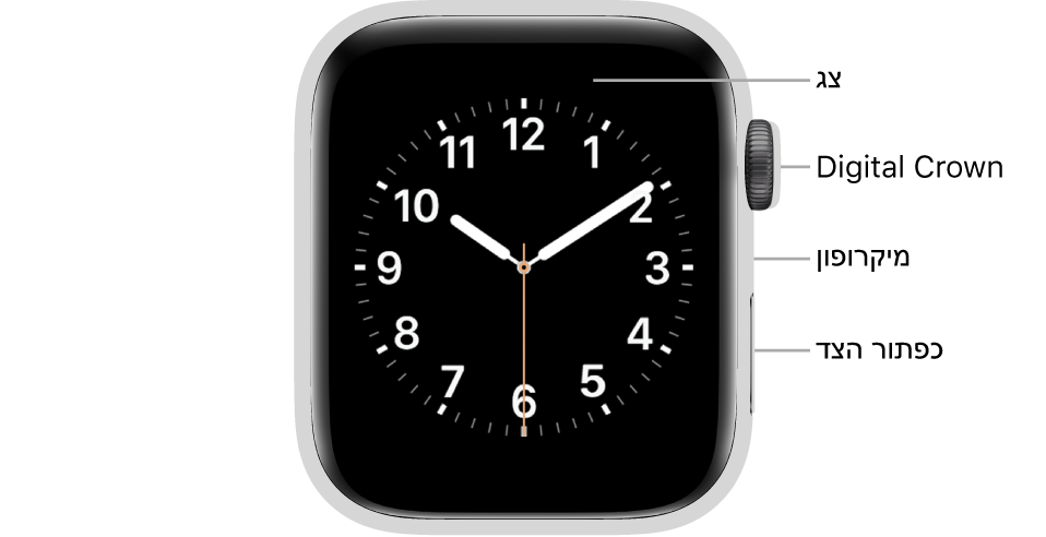 צדו הקדמי של ה‑Apple Watch Series 5 עם הסברים המצביעים לכיוון התצוגה, ה‑Digital Crown, המיקרופון וכפתור הצד.