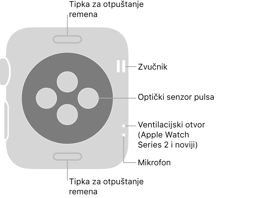 Stražnja strana modela Apple Watch Series 3 i ranijeg, s oblačićima koji pokazuju tipku za otpuštanje remena, zvučnik, optički senzor za srce, otvor za zrak i mikrofon.