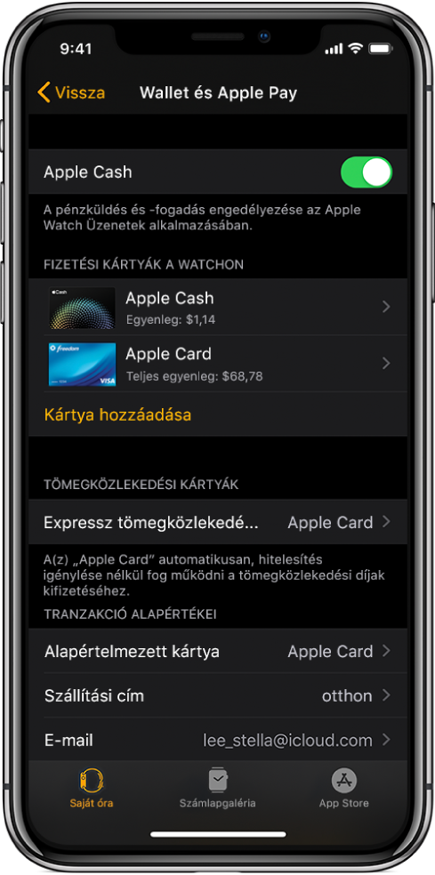 A Wallet és az Apple Pay képernyője az iPhone Apple Watch alkalmazásában. A képernyőn láthatók az Apple Watchhoz adott kártyák, az expressz tömegközlekedéshez kiválasztott kártya és a tranzakció alapértelmezett beállításai.