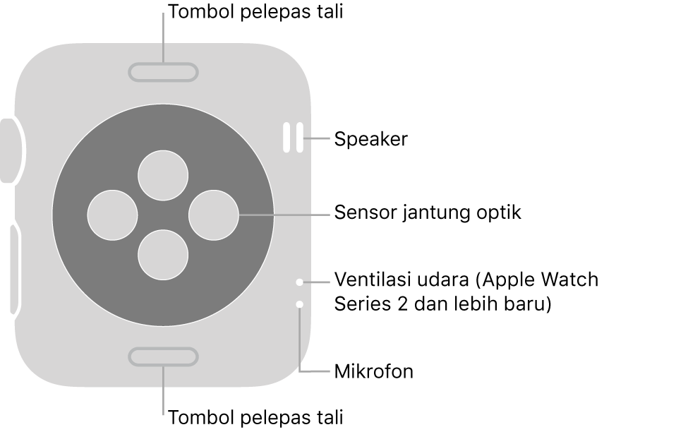 Bagian belakang Apple Watch Series 3 dan lebih lama dengan keterangan yang menunjuk ke arah tombol pelepas tali, speaker, sensor jantung optik, ventilasi udara, dan mikrofon.