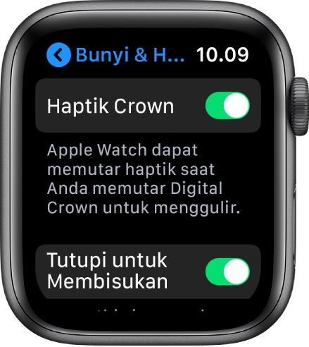 Layar Haptik Crown, menampilkan pengalih Haptik Crown yang dinyalakan.