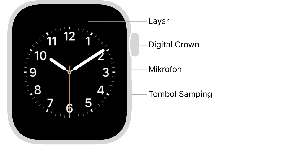 Bagian depan Apple Watch Series 5 dengan keterangan yang menunjuk ke arah layar, Digital Crown, mikrofon, dan tombol samping.