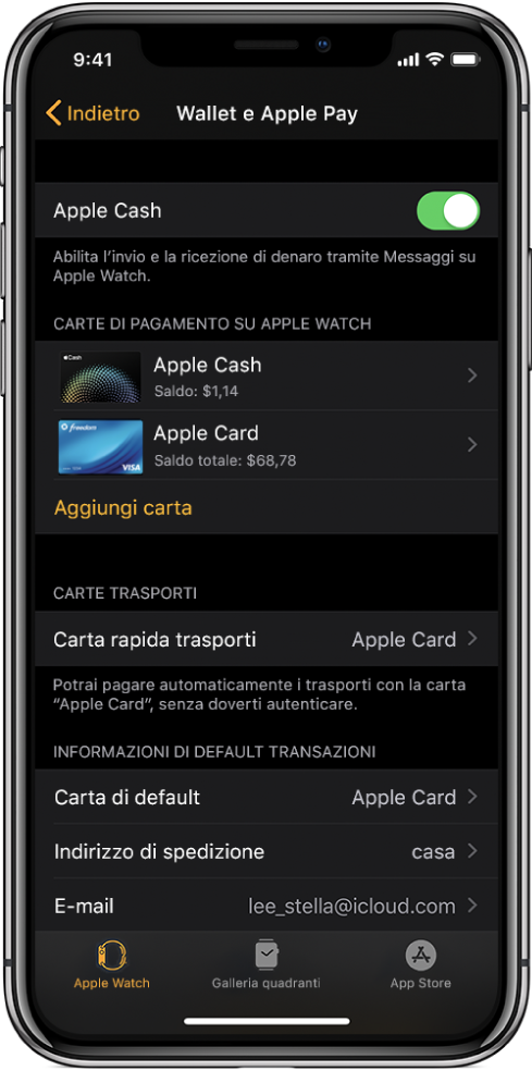 La schermata “Wallet e Apple Pay” nell'app Watch su iPhone. Lo schermo mostra le carte aggiunte ad Apple Watch, la carta che hai scelto di utilizzare come carta rapida per i mezzi di trasporto e le impostazioni di default per le transazioni.