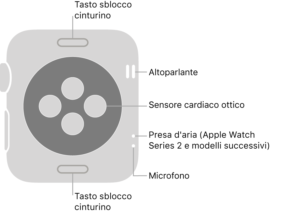 La parte posteriore di Apple Watch Series 3 e modelli precedenti con didascalie riferite a tasto di rilascio del cinturino, altoparlante, sensore del battito cardiaco, apertura di ventilazione e microfono.