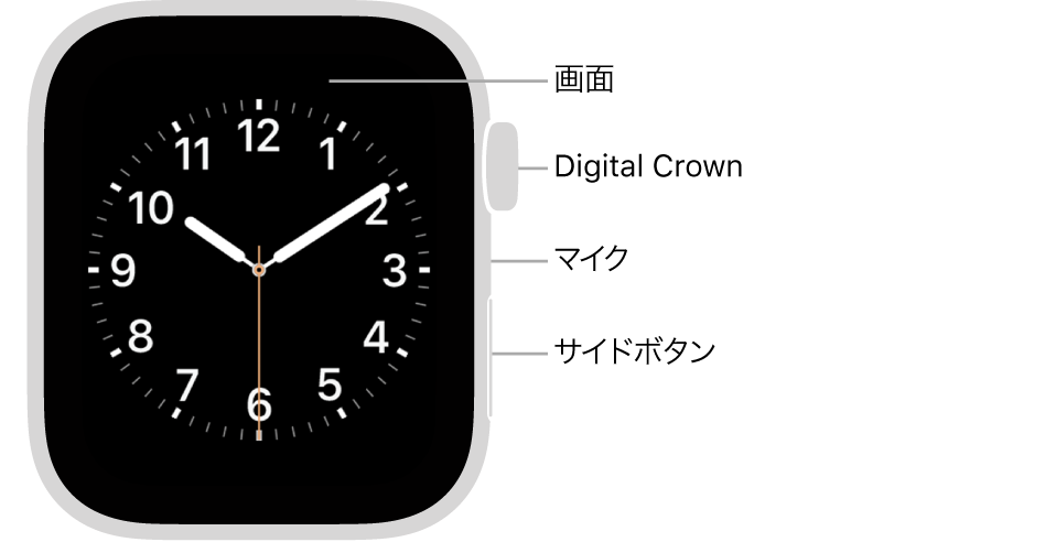 Apple Watch Series 5の前面で、ディスプレイ、Digital Crown、マイク、およびサイドボタンがあります。