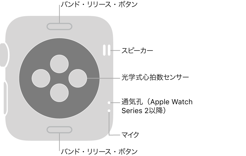 Apple Watch Series 3以前の背面で、バンド・リリース・ボタン、スピーカー、光学式心拍数センサー、通気孔、およびマイクがあります。