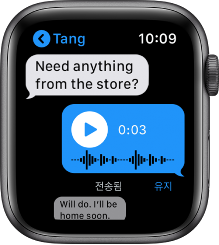 대화가 표시된 메시지 화면. 가운데 답장은 재생 버튼이 있는 오디오 메시지임.