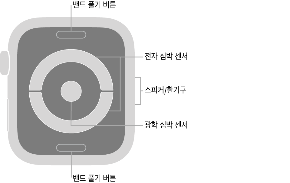 밴드 풀기 버튼, 전자 심박 센서, 스피커/환기구 및 광학 심박 센서 설명이 있는 Apple Watch Series 4의 후면.