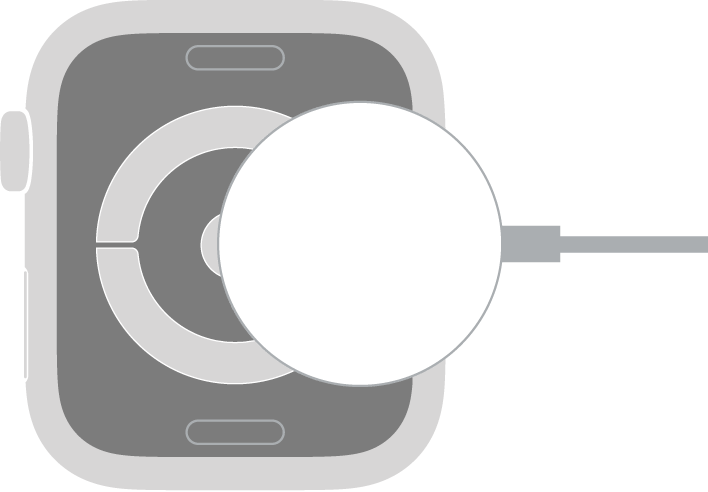 Įdubęs „Apple Watch“ magnetinio įkrovimo kabelio galas veikiamas magnetinės jėgos prikimba prie „Apple Watch“ galinės pusės.