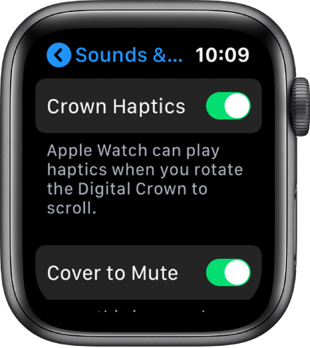 Ekranas „Crown Haptics“, kuriame rodomas įjungtas „Crown Haptics“ jungiklis.
