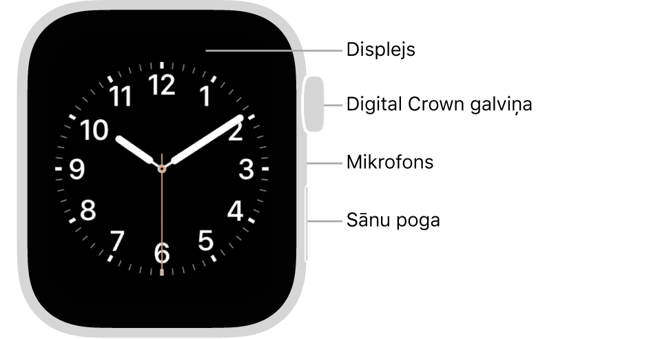 Apple Watch Series 5 pulksteņa priekšpuse ar remarkām, kas norāda uz displeju, Digital Crown galviņu, mikrofonu un sānu pogu.