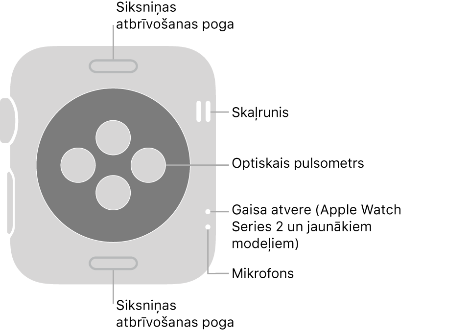 Apple Watch Series 3 vai vecāka modeļa aizmugure ar remarkām, kas norāda uz siksniņas atbrīvošanas pogu, skaļruni, optisko pulsometru, gaisa atveri un mikrofonu.