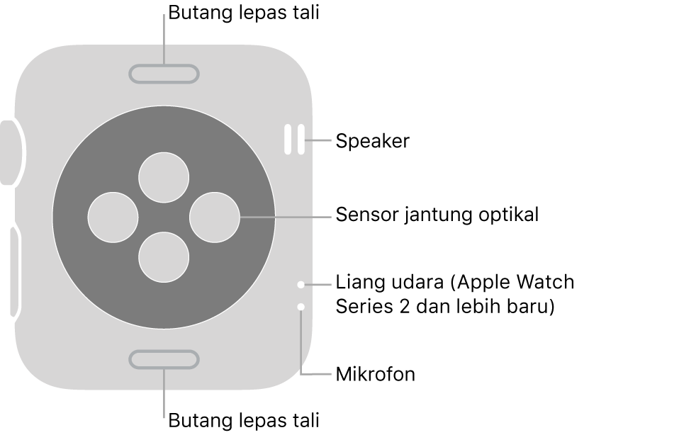 Bahagian belakang Apple Watch Series 3 dan lebih awal dengan petak bual menunjuk ke butang lepas tali, speaker, sensor jantung optikal, liang udara dan mikrofon.