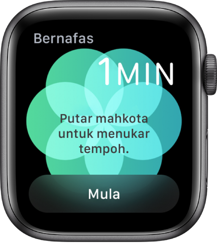 Skrin app Bernafas menunjukkan tempoh seminit di bahagian kanan atas dan butang Mula di bahagian bawah.