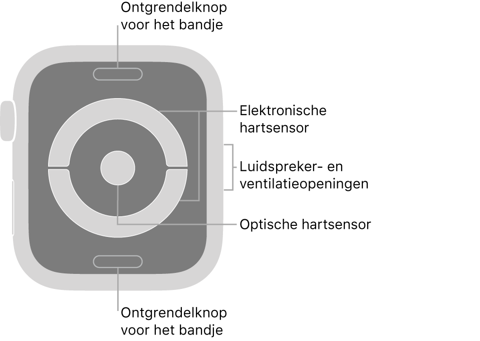 De achterkant van de Apple Watch Series 4 met bijschriften bij de ontgrendelknop voor het bandje, de elektronische hartsensor, de luidspreker- en ventilatieopeningen en de optische hartsensor.