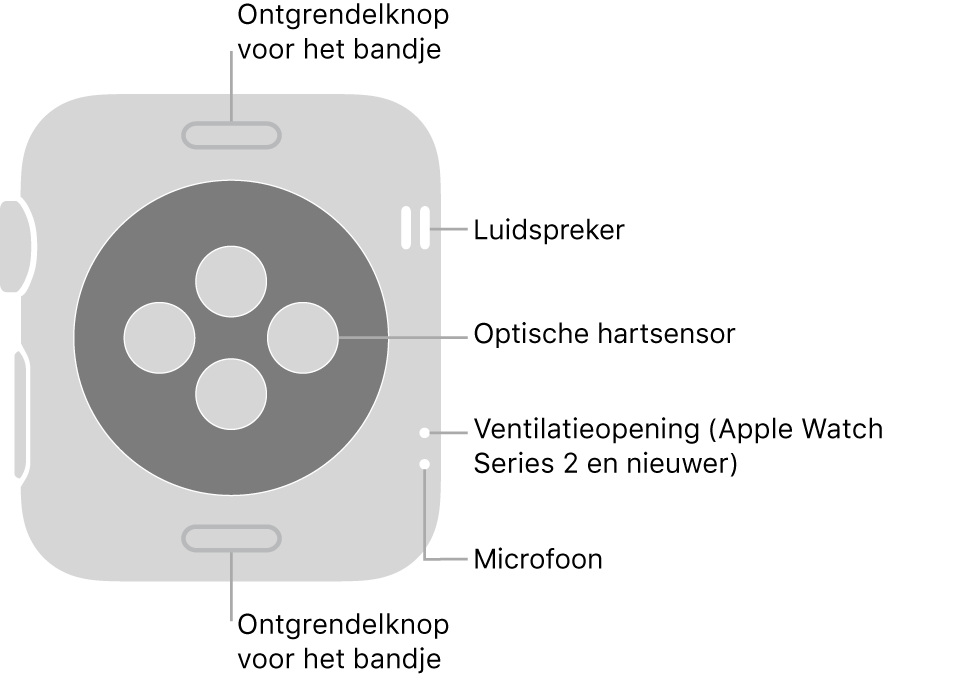 De achterkant van de Apple Watch Series 3 en eerdere modellen met bijschriften bij de ontgrendelknop voor het bandje, de luidspreker, de optische hartsensor, de ventilatieopening en de microfoon.
