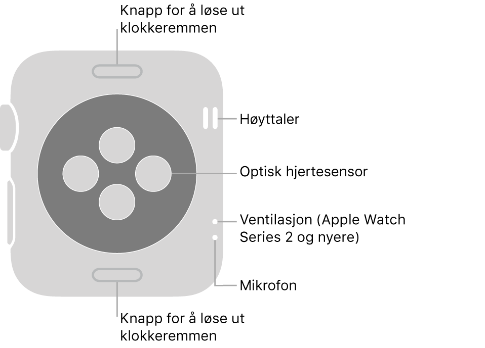 Baksiden av Apple Watch Series 3 og eldre med bildeforklaringer til remutløserknappene, høyttaleren, den optiske pulssensoren, luftventilen og mikrofonen.