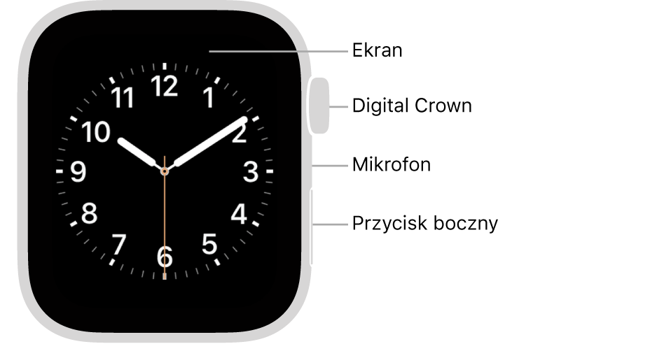 Apple Watch Series 5 widziany z przodu. Opisy wskazują ekran, Digital Crown, mikrofon oraz przycisk boczny.