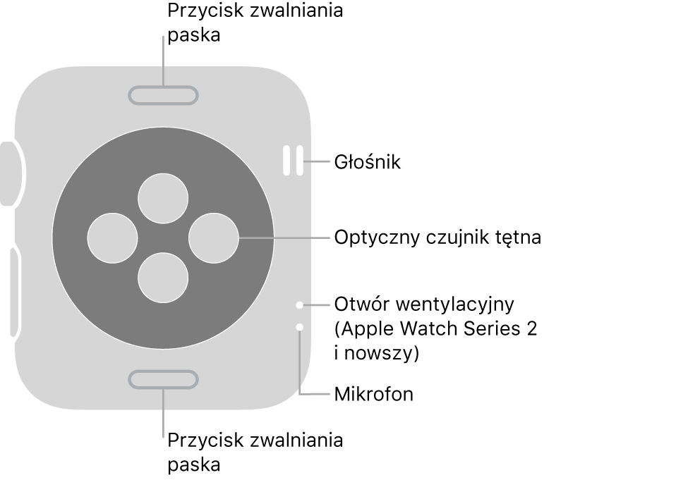 Apple Watch Series 3 lub starszy widziany z tyłu. Opisy wskazują przycisk zwalniania paska, głośnik, optyczny czujnik tętna, otwór wentylacyjny oraz mikrofon.