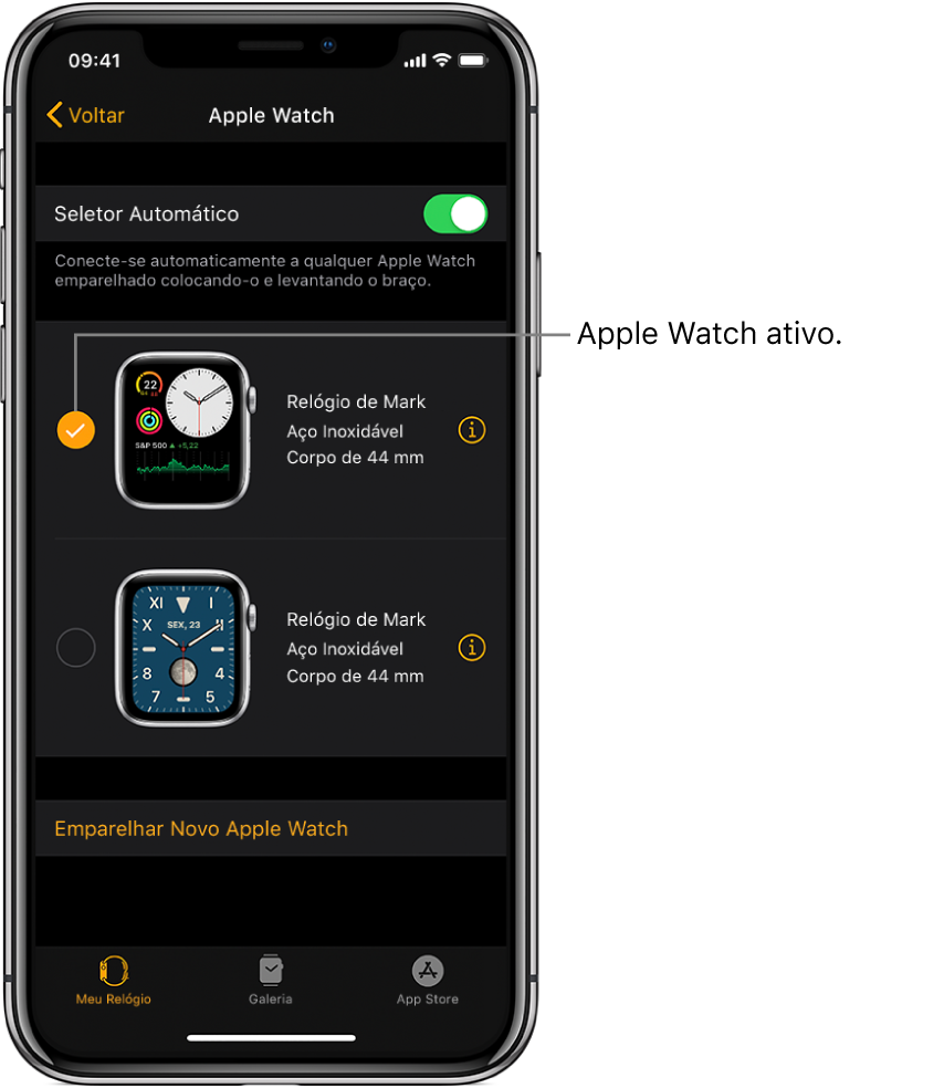 Marcas de verificação mostram o Apple Watch ativo.