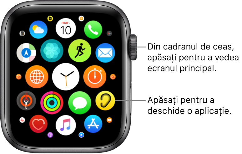 Ecranul principal în vizualizarea grilă pe Apple Watch, cu aplicațiile sub formă de grup. Apăsați pe o aplicație pentru a o deschide. Trageți pentru a vedea mai multe aplicații.
