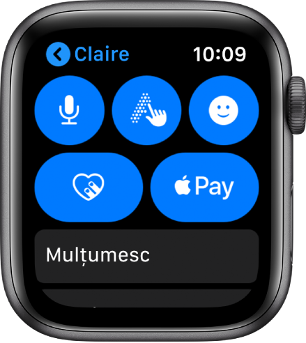 Un ecran din aplicația Mesaje afișând butonul Apple Pay în partea din dreapta jos.