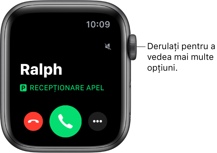 Ecranul Apple Watch la primirea unui apel: numele apelantului, cuvintele “Apel recepționat”, butonul roșu Refuzați, butonul verde Răspundeți și butonul Mai multe opțiuni.
