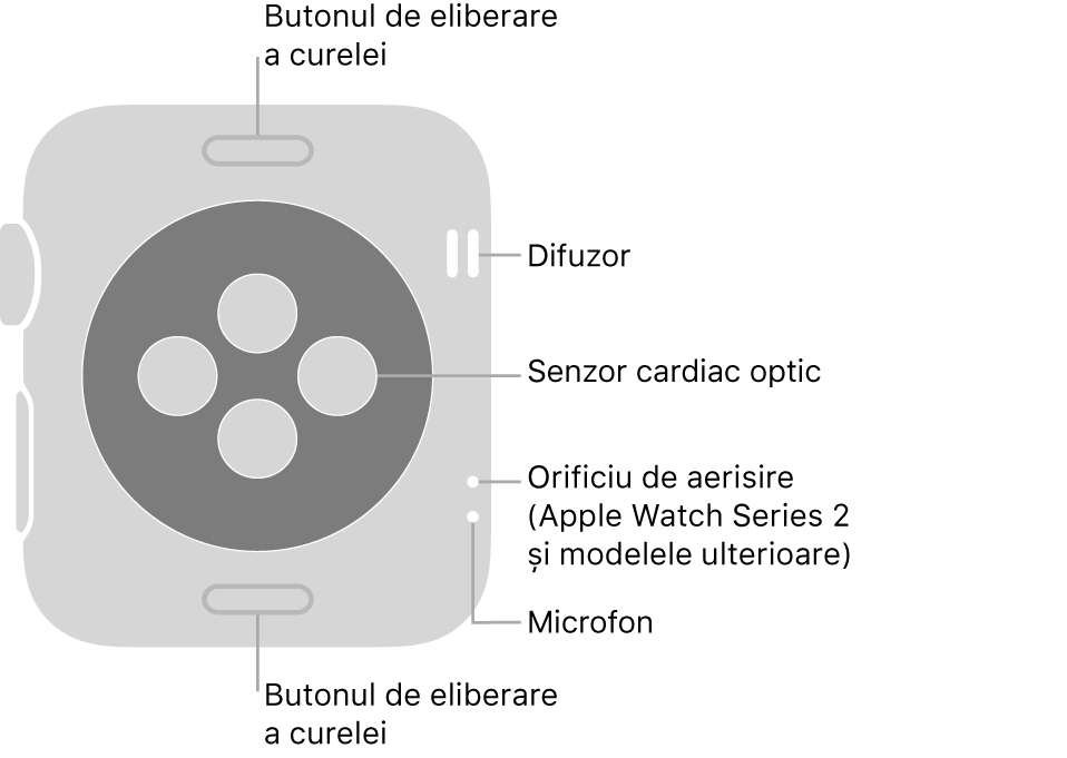 Spatele modelului Apple Watch Series 3 și al modelelor anterioare cu explicații pentru butonul de eliberare a brățării, difuzor, senzorul cardiac optic, orificiul de ventilare și microfon.