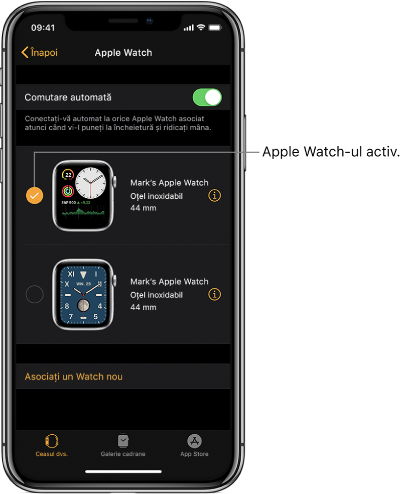 Bifa indică Apple Watch-ul activ.
