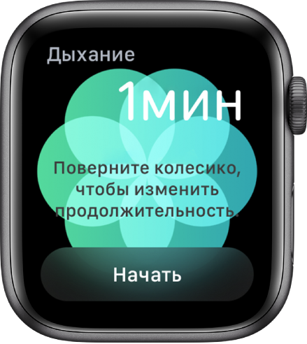 Экран приложения «Дыхание»: справа вверху показана длительность в 1 минуту, внизу расположена кнопка «Начать».
