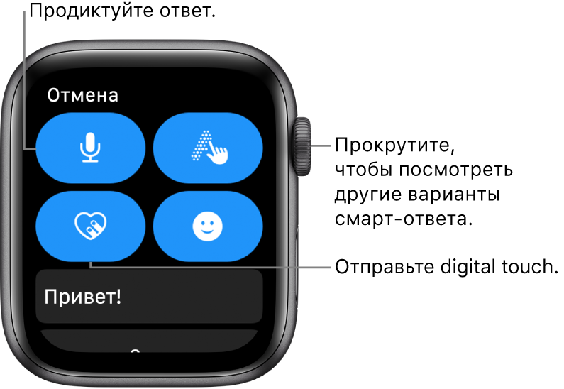 Экран ответа на сообщение с кнопками диктовки, зарисовки, эмодзи, Digital Touch. Смарт-ответы отображаются ниже. Прокрутите колесико Digital Crown, чтобы посмотреть смарт-ответы.