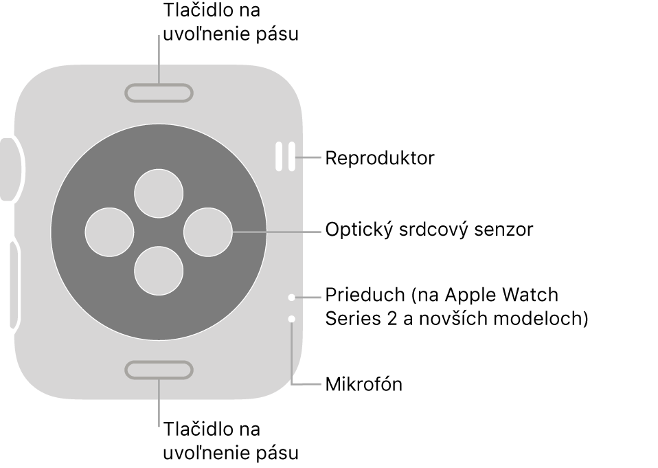 Zadná strana hodiniek Apple Watch Series 3 alebo staršieho modelu s popismi smerujúcimi na tlačidlo na uvoľnenie remienka, reproduktor, optický srdcový senzor, prieduch a mikrofón.