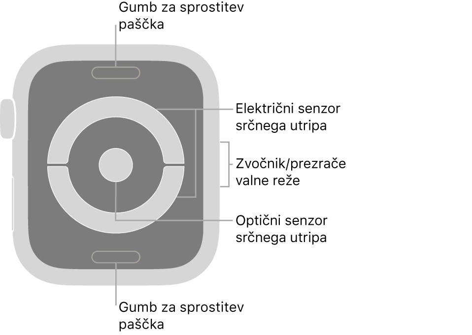 Zadnja stran ure Apple Watch Series 4 z oblački, ki kažejo na gumb za sprostitev paščka, električni senzor utripa srca, zvočnik/prezračevalne reže in optični senzor utripa srca.