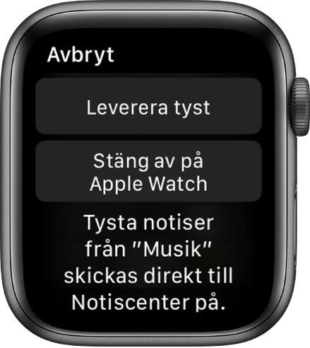Notisinställningar på Apple Watch. På översta knappen står det Leverera tyst och på knappen under står det Stäng av på Apple Watch.