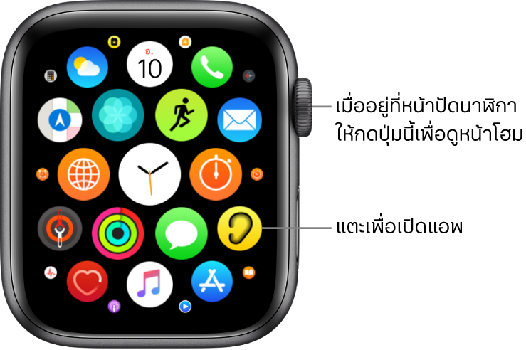 หน้าจอโฮมในมุมมองตารางบน Apple Watch ซึ่งมีแอพอยู่รวมกันเป็นกลุ่มก้อน แตะที่แอพเพื่อเปิด ลากเพื่อดูแอพเพิ่มเติม