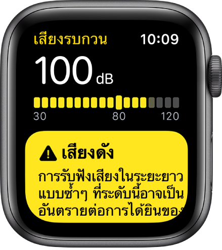 หน้าจอเสียงรบกวนที่แสดงระดับเดซิเบล 100dB คำเตือนแสดงขึ้นด้านล่าง