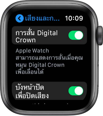 หน้าจอการสั่น Digital Crown ที่แสดงสวิตช์การสั่น Digital Crown ที่เปิดอยู่
