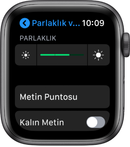 En üstte Parlaklık sürgüsünü, altında Metin Puntosu düğmesini ve en altta Kalın Metin denetimini gösteren Apple Watch parlaklık ayarları.