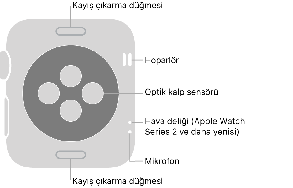 Kordon açma düğmesini, hoparlörü, optik kalp sensörünü, hava deliğini ve mikrofonu gösteren belirtme çizgileriyle Apple Watch Series 3 ve önceki modellerin arka yüzü.