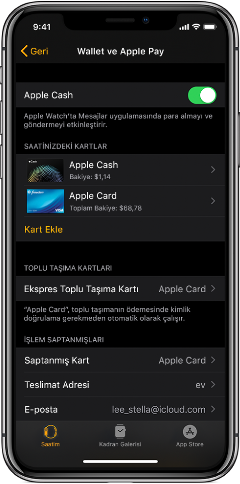 iPhone’daki Apple Watch uygulamasında Wallet ve Apple Pay ekranı. Ekran Apple Watch’a eklenen kartları, ekspres toplu taşıma için kullanmak üzere seçtiğiniz kartı ve işlem saptanmışları ayarlarını gösterir.