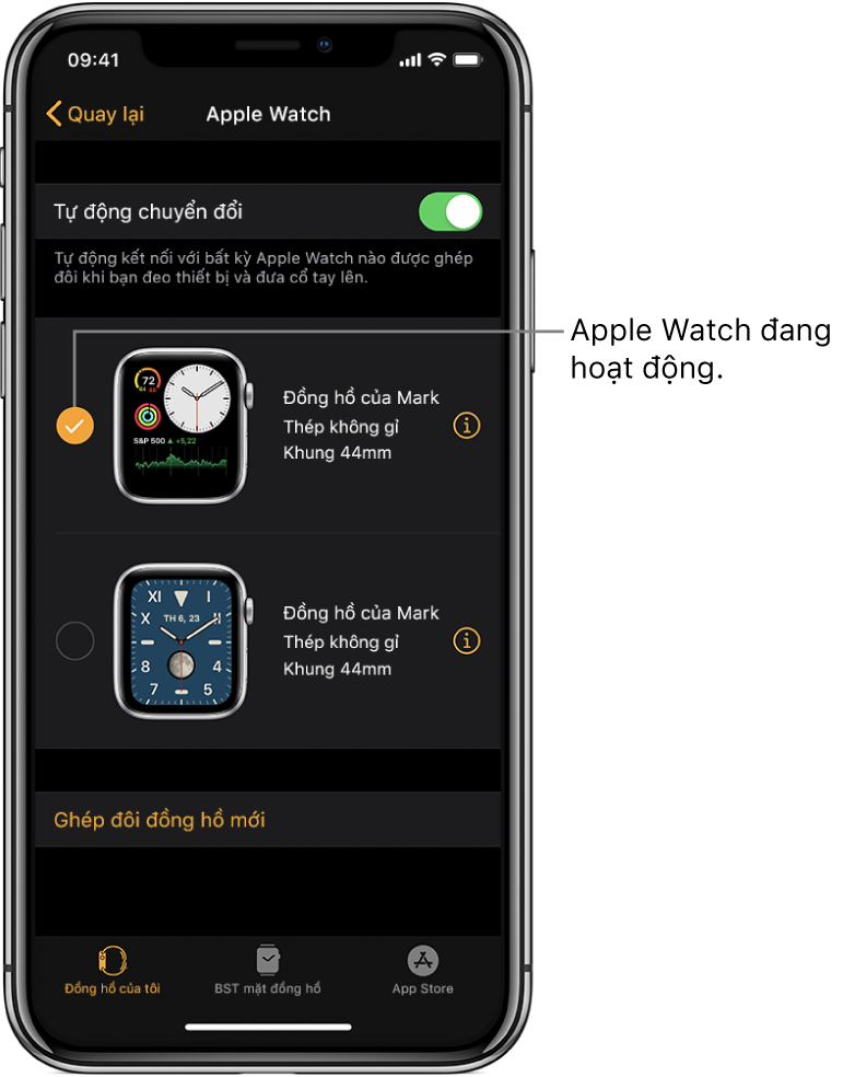 Dấu chọn cho biết Apple Watch đang hoạt động.