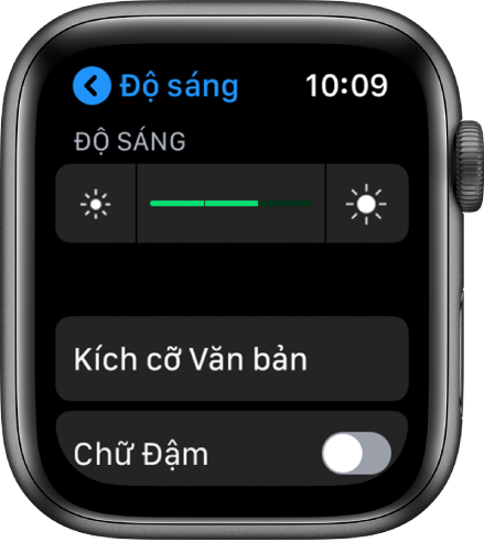Cài đặt Độ sáng trên Apple Watch, với thanh trượt Độ sáng ở trên cùng, nút Kích cỡ văn bản ở bên dưới và điều khiển Chữ đậm ở dưới cùng.