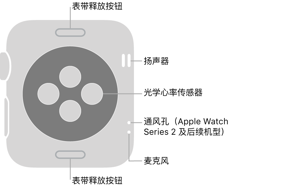 Apple Watch Series 3 及较早机型的背面，标注指示了表带释放按钮、扬声器、光学心率感应器、通风孔和麦克风。