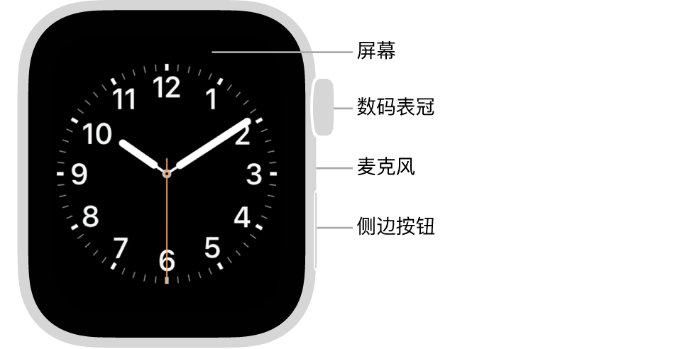 Apple Watch Series 5 的正面，标注指示了屏幕、数码表冠、麦克风和侧边按钮。