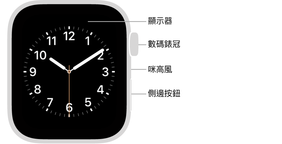 Apple Watch Series 5 的正面，以及指向顯示器、數碼錶冠、咪高風和側邊按鈕的説明文字。