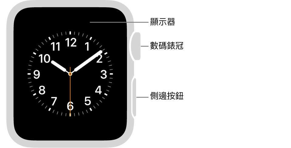 Apple Watch Series 3 的正面，以及指向顯示器、數碼錶冠和側邊按鈕的説明文字。