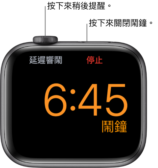 Apple Watch 已打側擺放，畫面顯示鬧鐘正在響鬧。「數碼錶冠」下方的文字是「延遲響鬧」。「停止」字樣位於側邊按鈕下方。