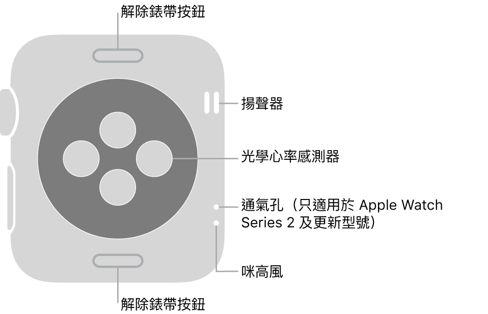 Apple Watch Series 3 和較早版本的背面，以及指向解除錶帶按鈕、揚聲器、「心率」感測器、通氣孔和咪高風的説明文字。